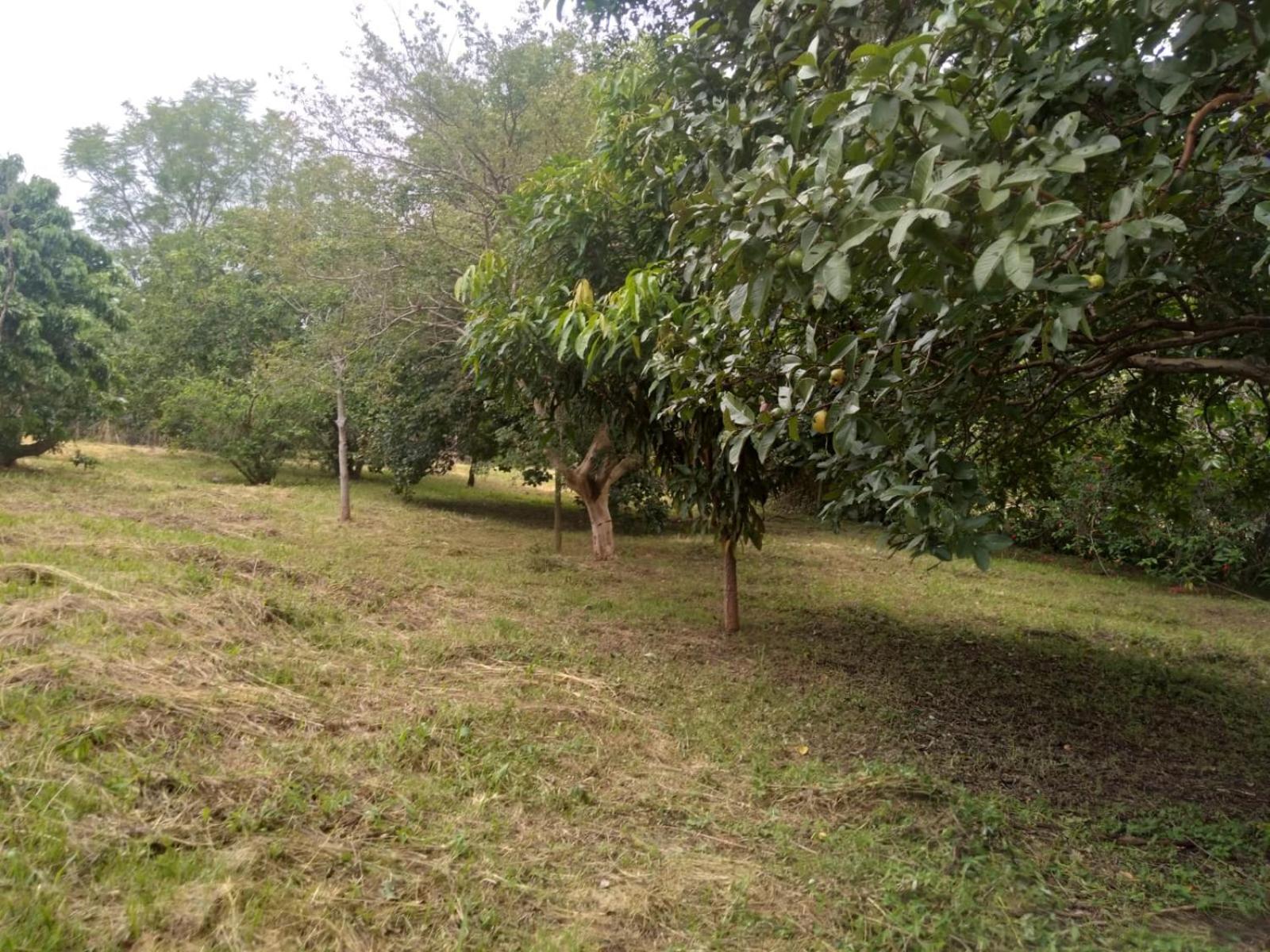 Casa Delicia Em Passa Quatro Ate 6 Pessoas Villa Eksteriør billede